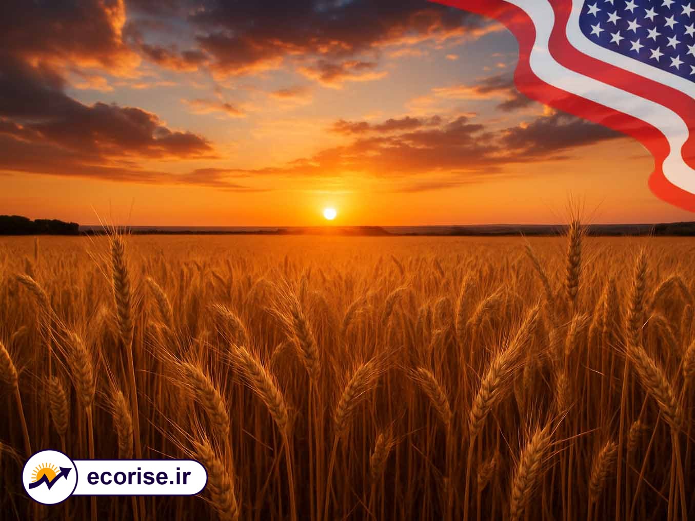 کشاورزی ایالات متحده آمریکا