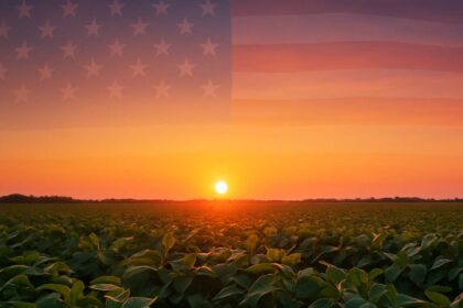 کشاورزی آمریکا