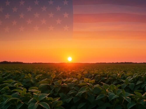 کشاورزی آمریکا