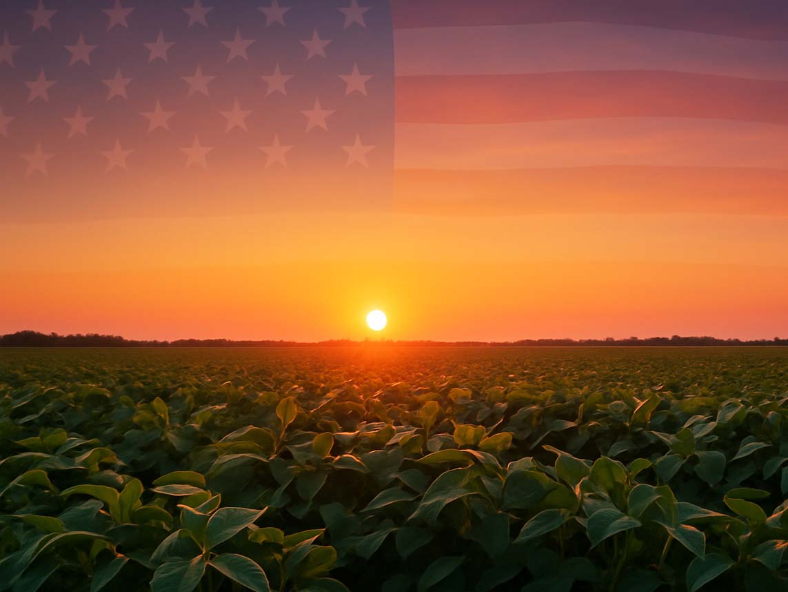 کشاورزی آمریکا