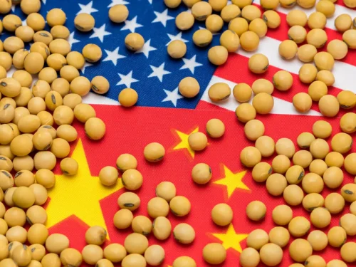 توافق چین و آمریکا برای سویا