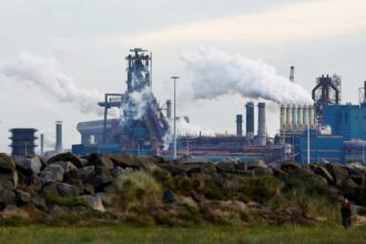 تولید صنعتی هلند