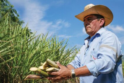 شکر مکزیک - کشاورز مکزیکی