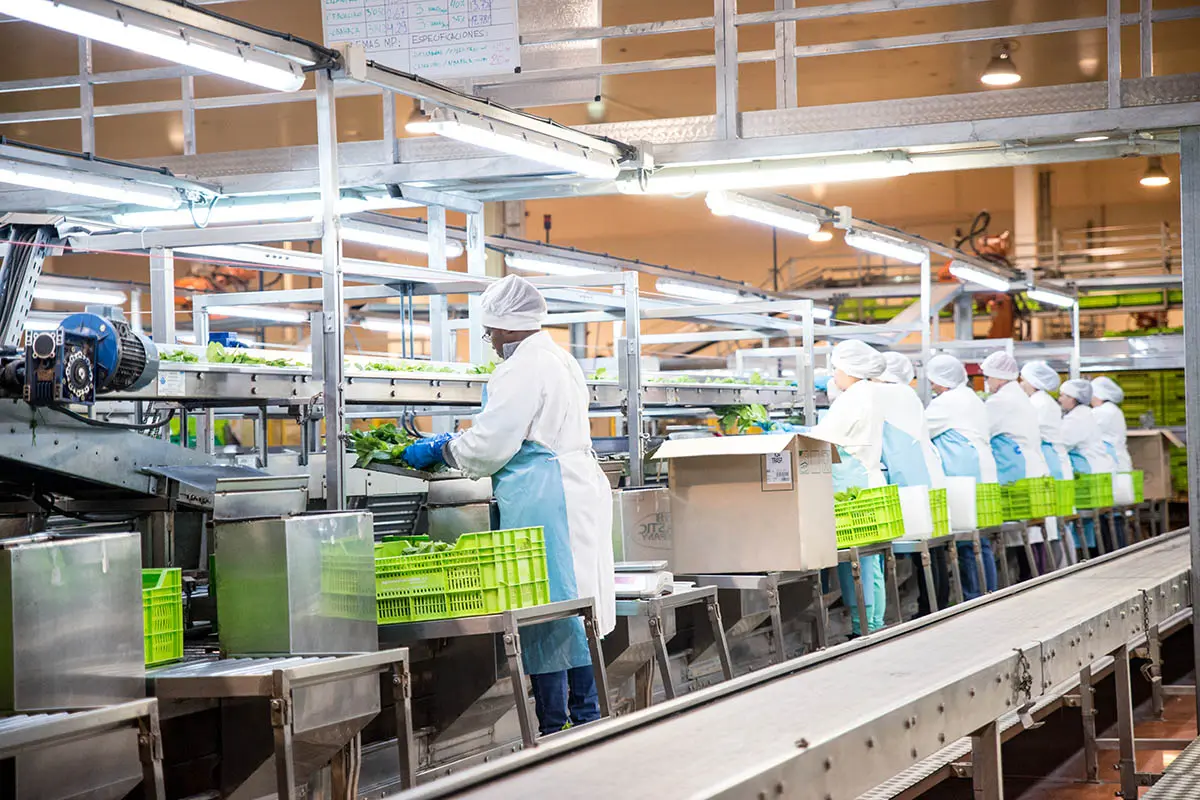 قیمت تولیدکننده اسپانیا