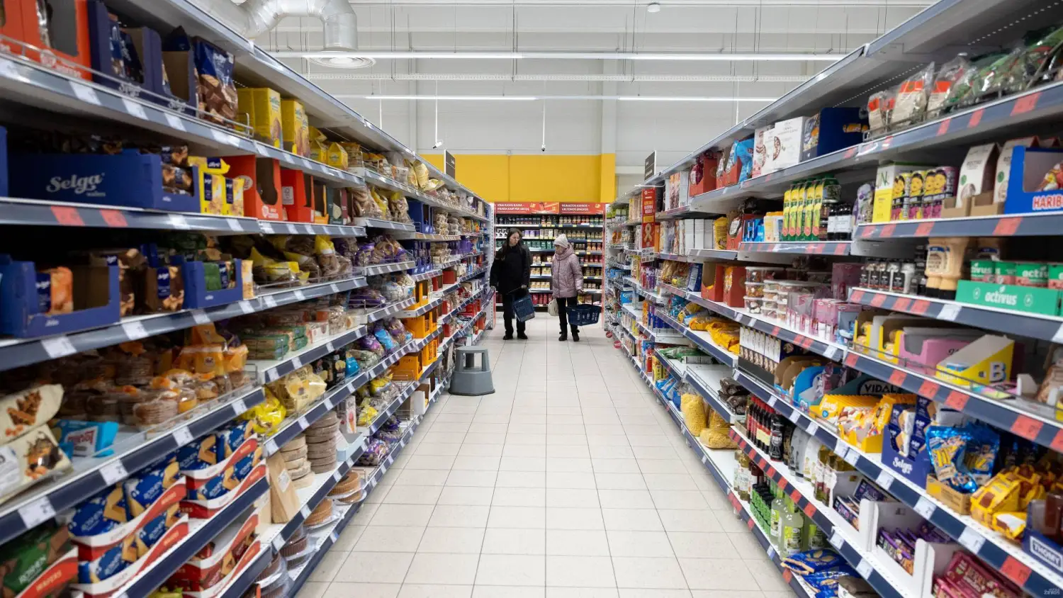 خردهفروشی لیتوانی