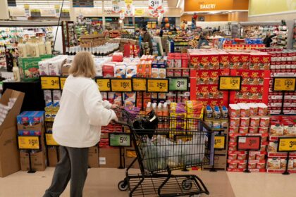 مصرف کننده آمریکایی