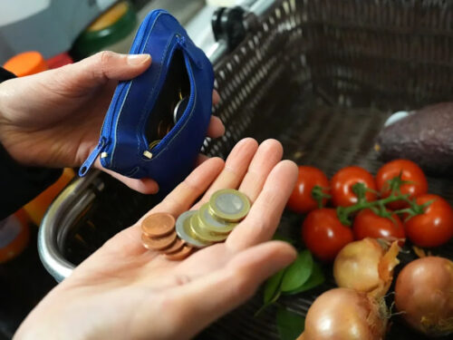 سکه‌های یورو در دست یک شخص