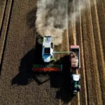 قیمت جهانی مواد غذایی