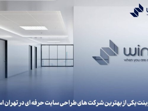چرا وینت بهترین شرکت طراحی سایت در ایران است