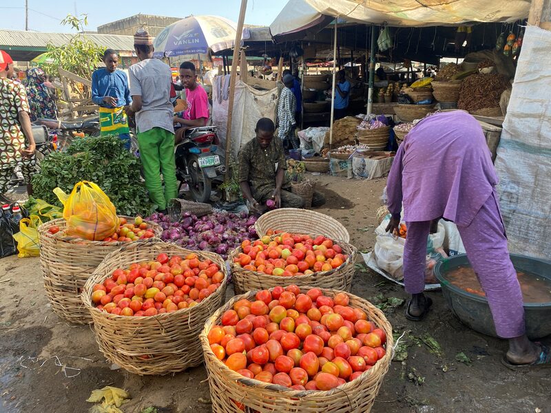فروشندگان میوه و سبزیجات در بازاری در کانو، نیجریه
